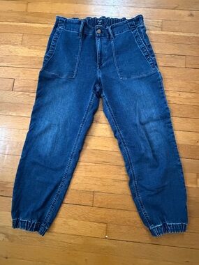 J. Crew Utility Jogger Relaxed Fit Jeans with Stretch Size 31